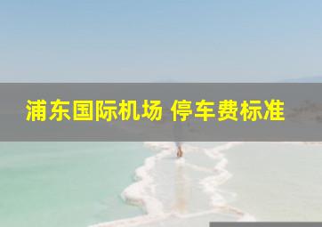 浦东国际机场 停车费标准